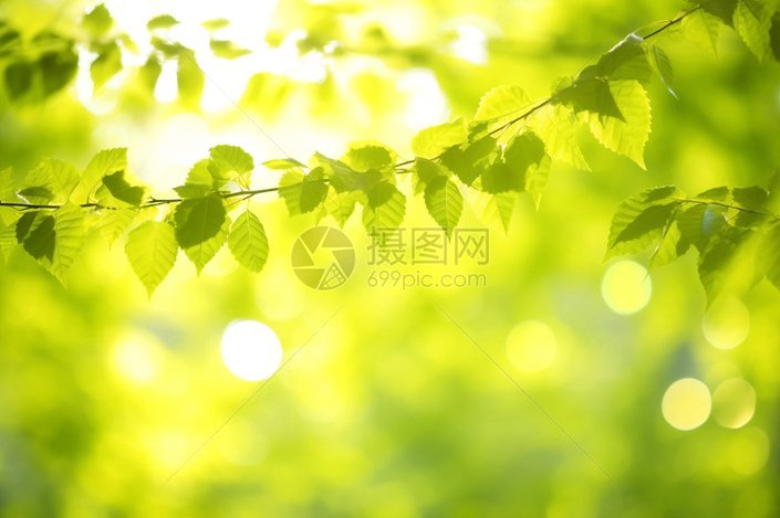 萨拉戈萨留塞贝纳大街康复训练 拒绝离队