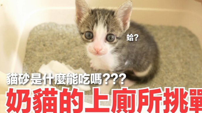 小邝这状态下滑太多了
