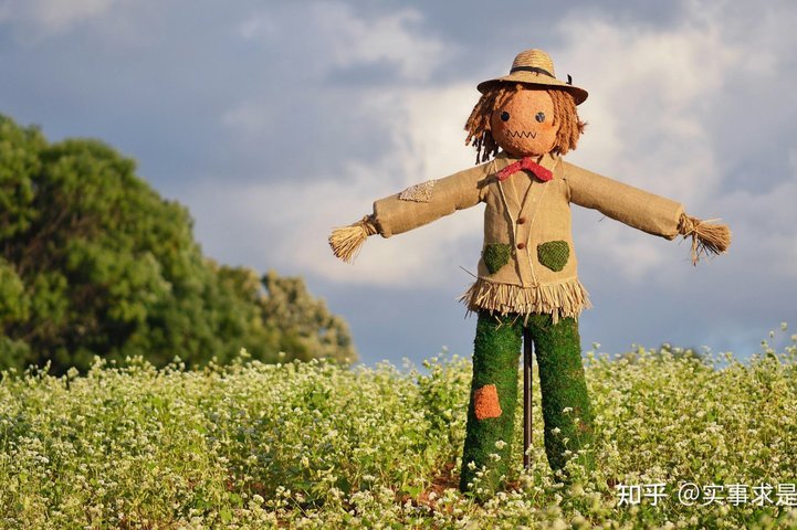 举个例子说说“稻草人谬误”